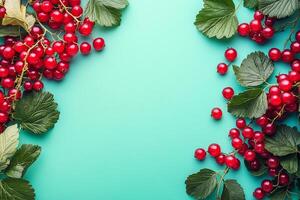 Top view Currant on a vibrant background, plant setting photo