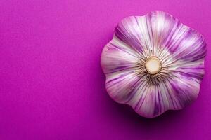 Garlic on a vibrant background, top view photorealistic plant photo
