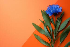 Gentian on a vibrant background, photorealistic top view Gentian flower photo