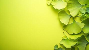 Ginkgo on a vibrant background, photorealistic top view Ginkgo flower photo