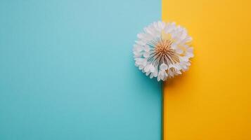 Globe Flower on a vibrant background, photorealistic top view Globe Flower flower photo