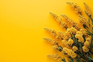 Top view Goldenrod on a vibrant background, plant setting photo