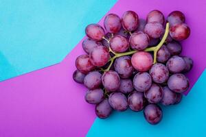 Top view photorealistic Grape, plant set on a vibrant background photo