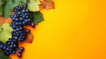Top view photorealistic Grape Vine, plant set on a vibrant background photo