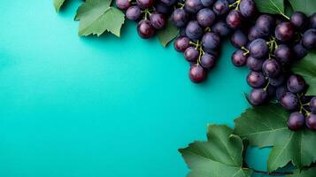 Top view Grape Vine on a vibrant background, plant setting photo