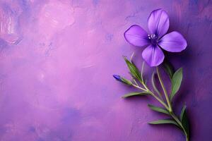 Top view Harebell on a vibrant background, plant setting photo