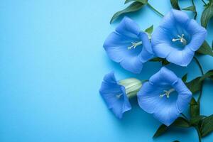 Top view photorealistic Harebell, plant set on a vibrant background photo