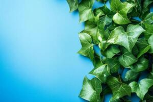 Hedera helix on a vibrant background, photorealistic top view Hedera helix plant photo