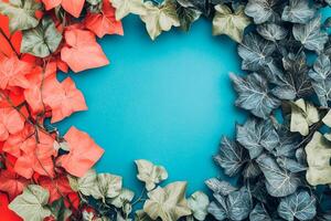 Top view Hedera helix on a vibrant background, plant setting photo