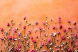 Lampranthus on a vibrant background, photorealistic top view Lampranthus flower photo