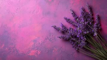 Top view Lavandula on a vibrant background, flower setting photo