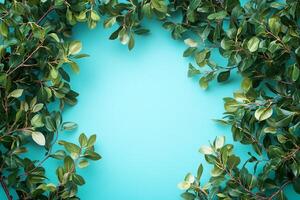 Top view Ligustrum on a vibrant background, plant setting photo