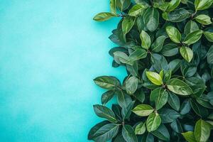 Ligustrum on a vibrant background, top view photorealistic plant photo