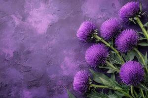 Top view Milk Thistle on a vibrant background, plant setting photo