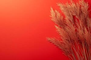 Miscanthus on a vibrant background, top view photorealistic plant photo