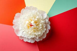 Peony on a vibrant background, top view photorealistic flower photo