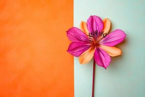 Top view photorealistic Silene, flower set on a vibrant background photo