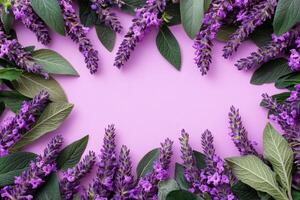 Top view photorealistic Stachys byzantina, flower set on a vibrant background photo