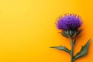 Stemless Carline Thistle on a vibrant background, top view photorealistic plant photo