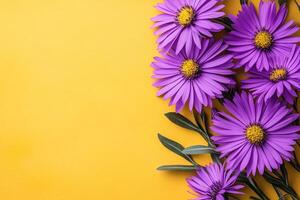 Top view Stokes Aster on a vibrant background, flower setting photo