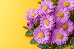 Stokes Aster on a vibrant background, photorealistic top view Stokes Aster flower photo