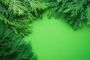 Top view photorealistic Taxodium, plant set on a vibrant background photo