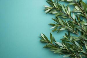 Top view photorealistic Tea Tree, plant set on a vibrant background photo