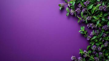 Thymus on a vibrant background, top view photorealistic flower photo