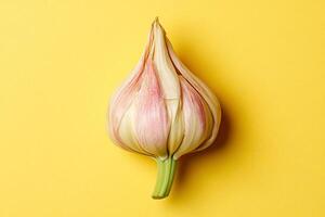 Tulip on a vibrant background, photorealistic top view Tulip plant photo