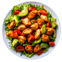 Fresh Grilled Chicken Salad with Colorful Vegetables and Herbs White Plate png