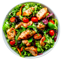 Fresh Grilled Chicken Salad with Cherry Tomatoes and Mixed Greens on White Bowl png
