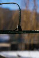 old handrails with a lock on them. Love lock on the railing photo