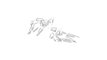 shards animation on white background video