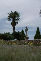 A cross and a palm tree with a view of the sky. Botanical Garden in Georgia photo