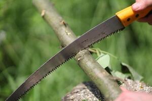 A person is using a saw to cut a tree photo