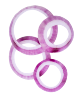 Top view and flat lay of fresh red or purple onion rings or slices in stack isolated with clipping path in file format png