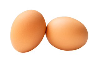 Brown chicken eggs isolated with clipping path in file format png