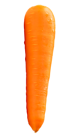 One fresh orange carrot root isolated with clipping path in file format png