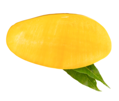 A half of ripe yellow mango fruit with green leaves in horizon isolated with clipping path in file format png
