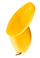 Vertical ripe yellow mango with half and water drops in stack isolated with clipping path in file format png