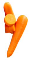 Two fresh orange carrot roots with slices in circles in stack isolated with clipping path in file format png