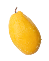 Vertical ripe yellow mango fruit isolated with clipping path in file format png