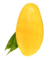A vertical half of ripe yellow mango fruit with green leaves isolated with clipping path in file format png