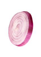 Spanish onion or red onion slice isolated with clipping path in file format png