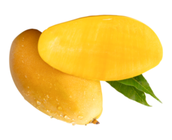 Ripe mango fruit and half with green leaves and water droplets in strange heap isolated with clipping path in file format png