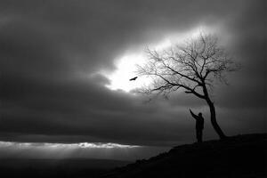 A man stands in front of a tree with a bird flying above photo