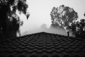 A black and white photo of a roof with trees in the fog