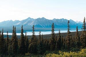 A view of mountains and trees in the alaska wilderness photo