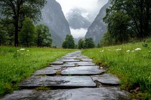 A stone path in the middle of a green field photo