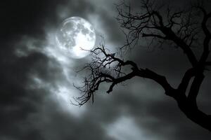 A full moon is seen through a tree with no leaves photo
